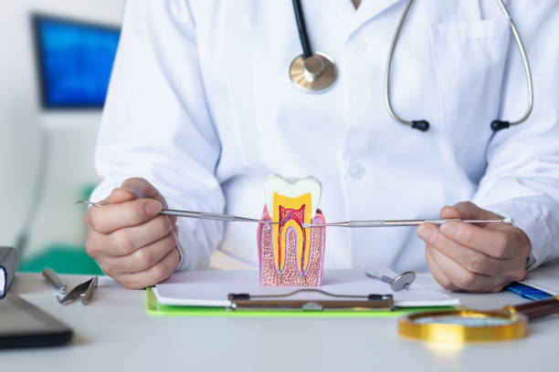 Best Emergency Tooth Extraction in Louisville, CO